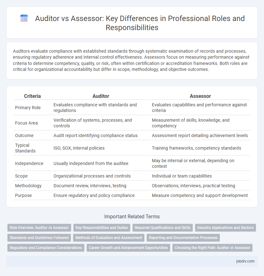 Auditor vs Assessor: Key Differences in Professional Roles and Responsibilities