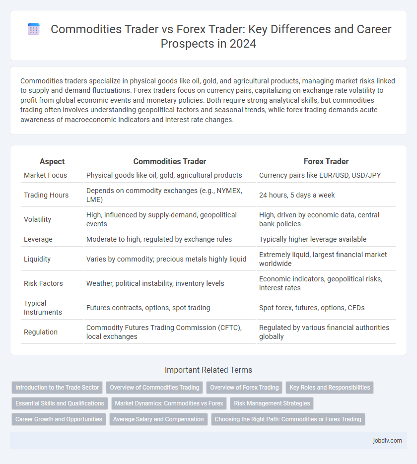 Commodities Trader vs Forex Trader: Key Differences and Career Prospects in 2024