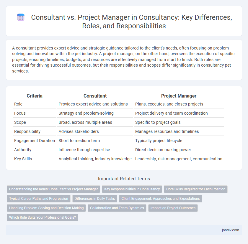 Consultant vs. Project Manager in Consultancy: Key Differences, Roles, and Responsibilities
