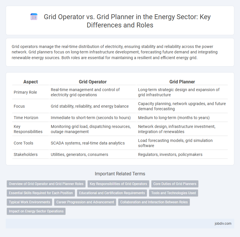 Grid Operator vs. Grid Planner in the Energy Sector: Key Differences and Roles