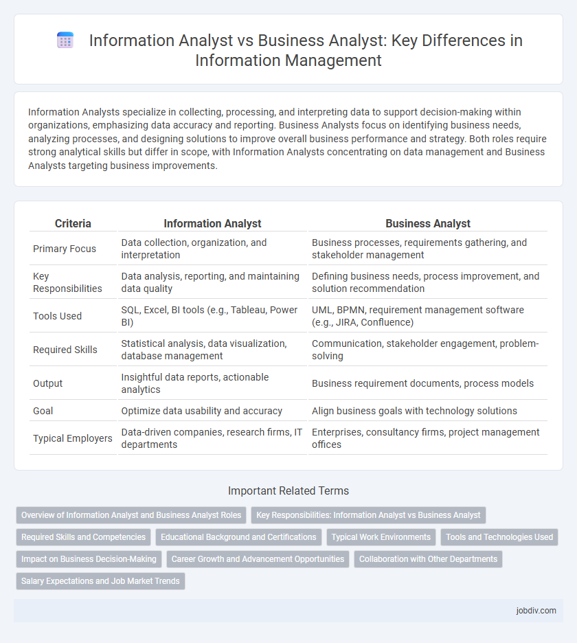 Information Analyst vs Business Analyst: Key Differences in Information Management