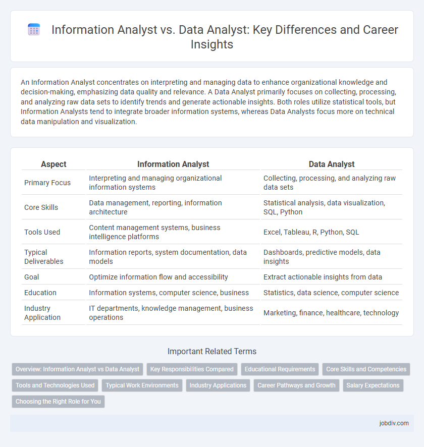 Information Analyst vs. Data Analyst: Key Differences and Career Insights