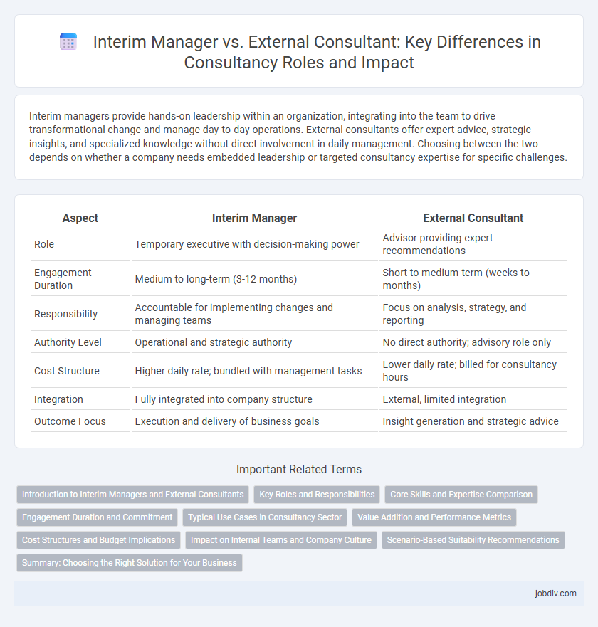 Interim Manager vs. External Consultant: Key Differences in Consultancy Roles and Impact