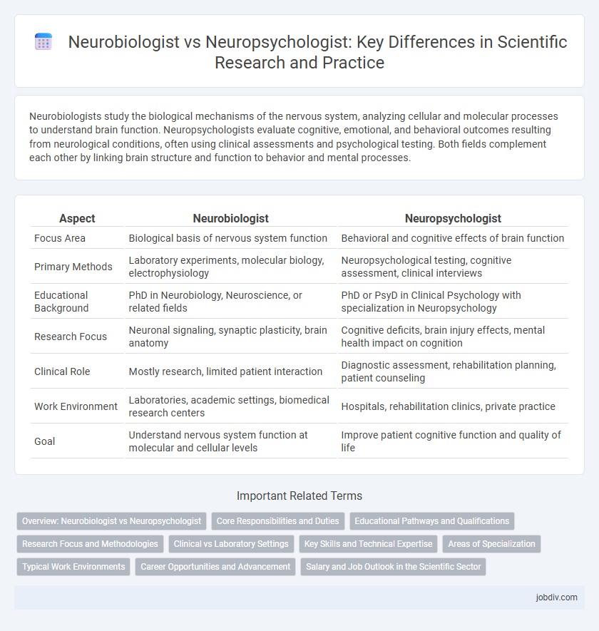 Neurobiologist vs Neuropsychologist: Key Differences in Scientific Research and Practice