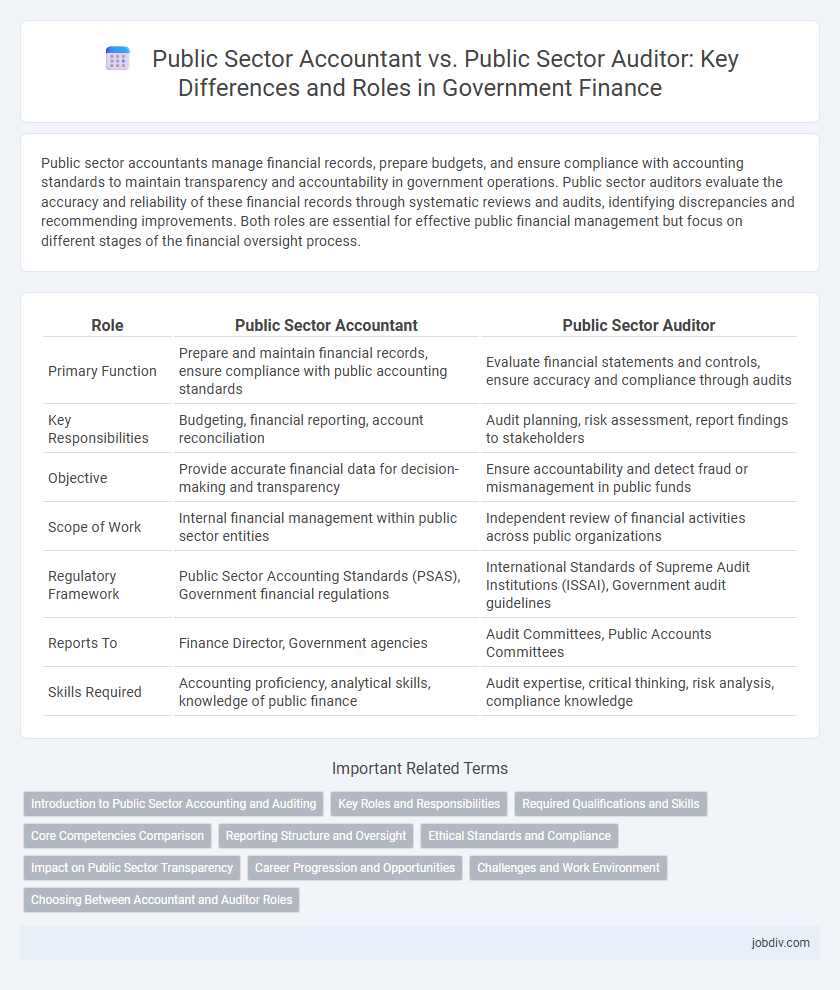 Public Sector Accountant vs. Public Sector Auditor: Key Differences and Roles in Government Finance