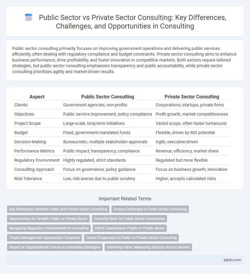 Public Sector vs Private Sector Consulting: Key Differences, Challenges, and Opportunities in Consulting