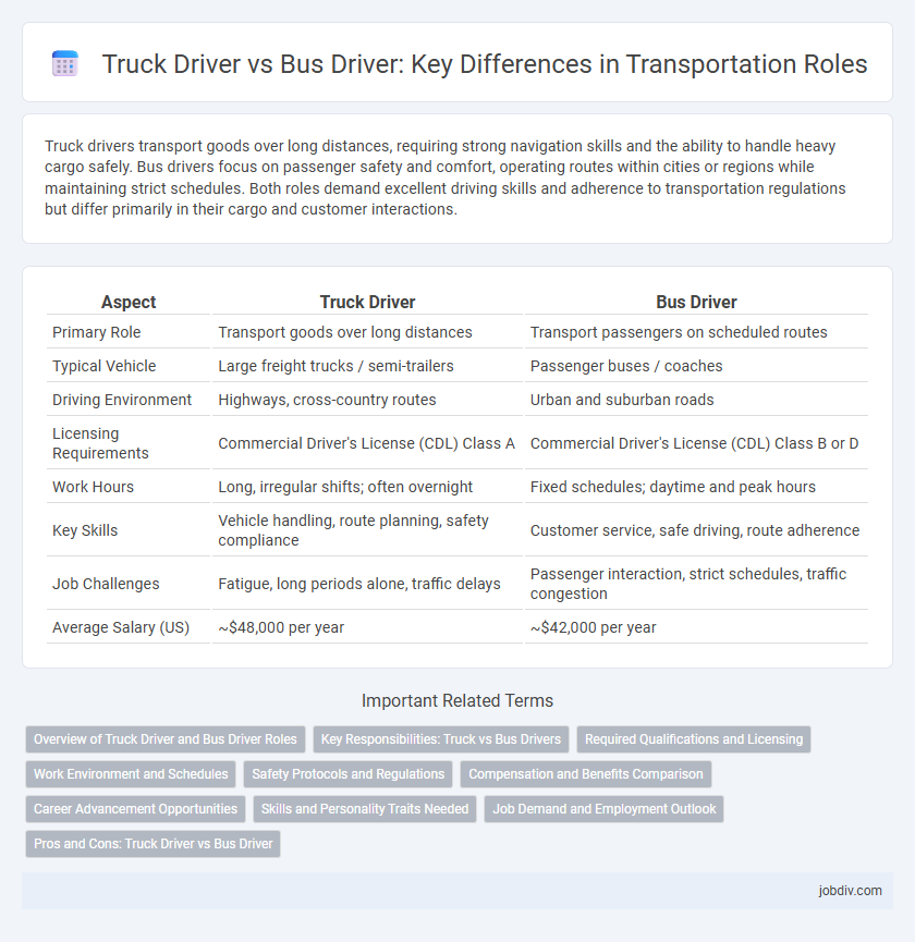 Truck Driver vs Bus Driver: Key Differences in Transportation Roles