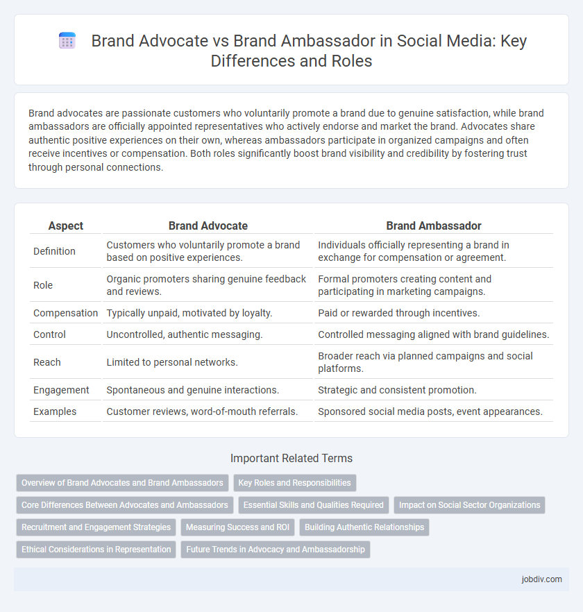 Brand Advocate vs Brand Ambassador in Social Media: Key Differences and Roles