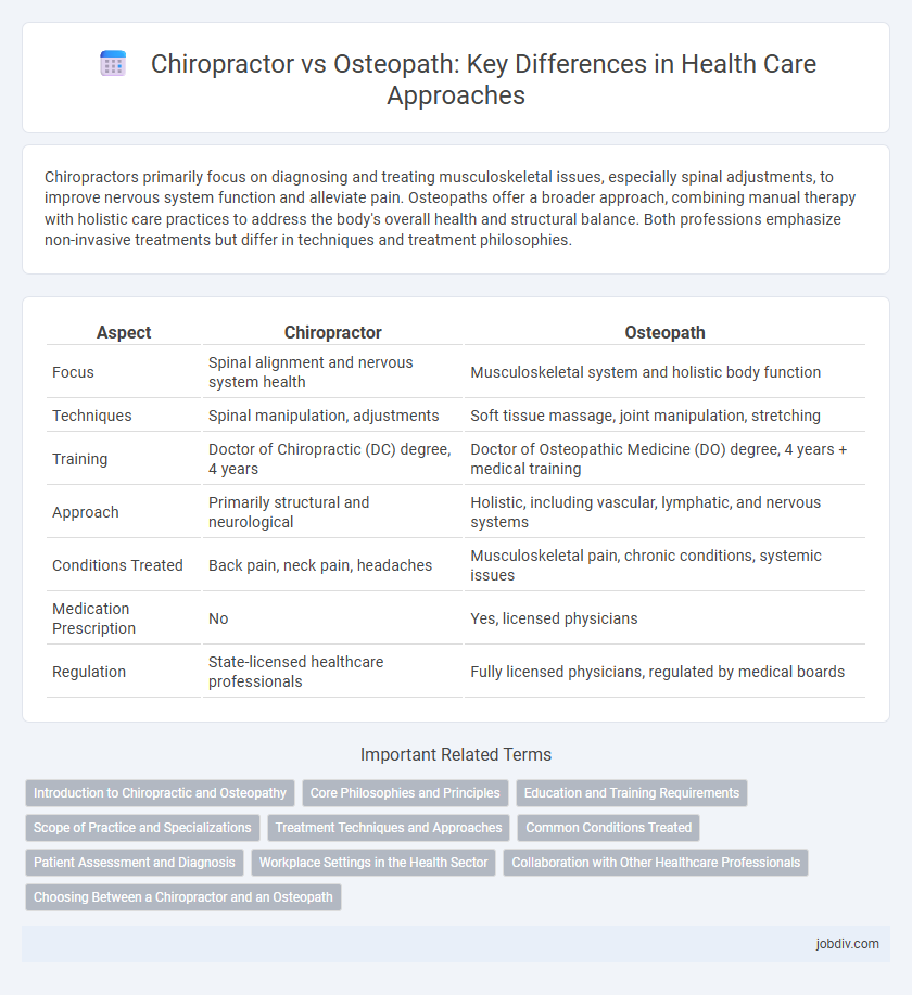 Chiropractor vs Osteopath: Key Differences in Health Care Approaches