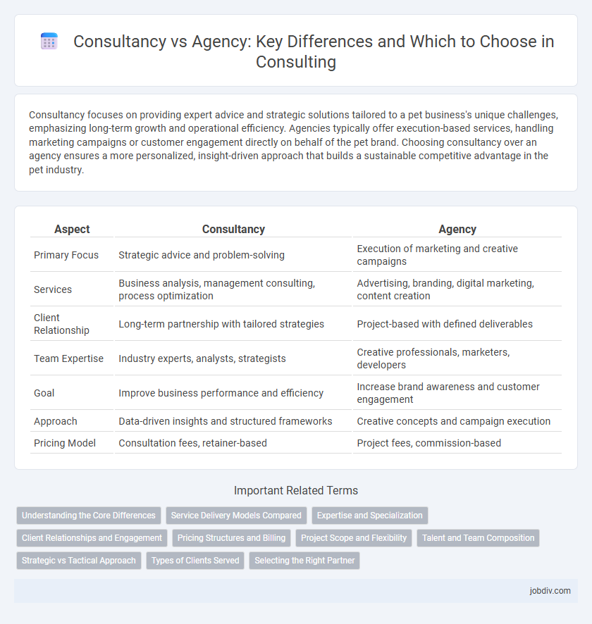 Consultancy vs Agency: Key Differences and Which to Choose in Consulting