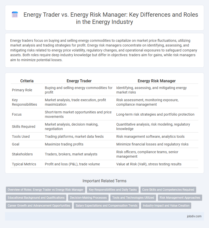 Energy Trader vs. Energy Risk Manager: Key Differences and Roles in the Energy Industry