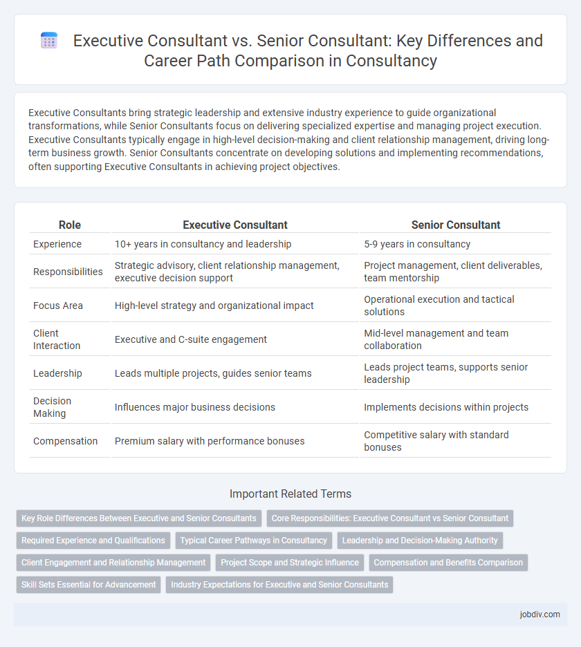 Executive Consultant vs. Senior Consultant: Key Differences and Career Path Comparison in Consultancy