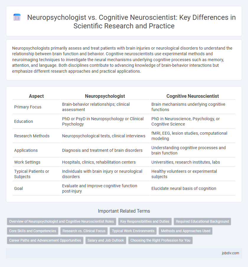 Neuropsychologist vs. Cognitive Neuroscientist: Key Differences in Scientific Research and Practice