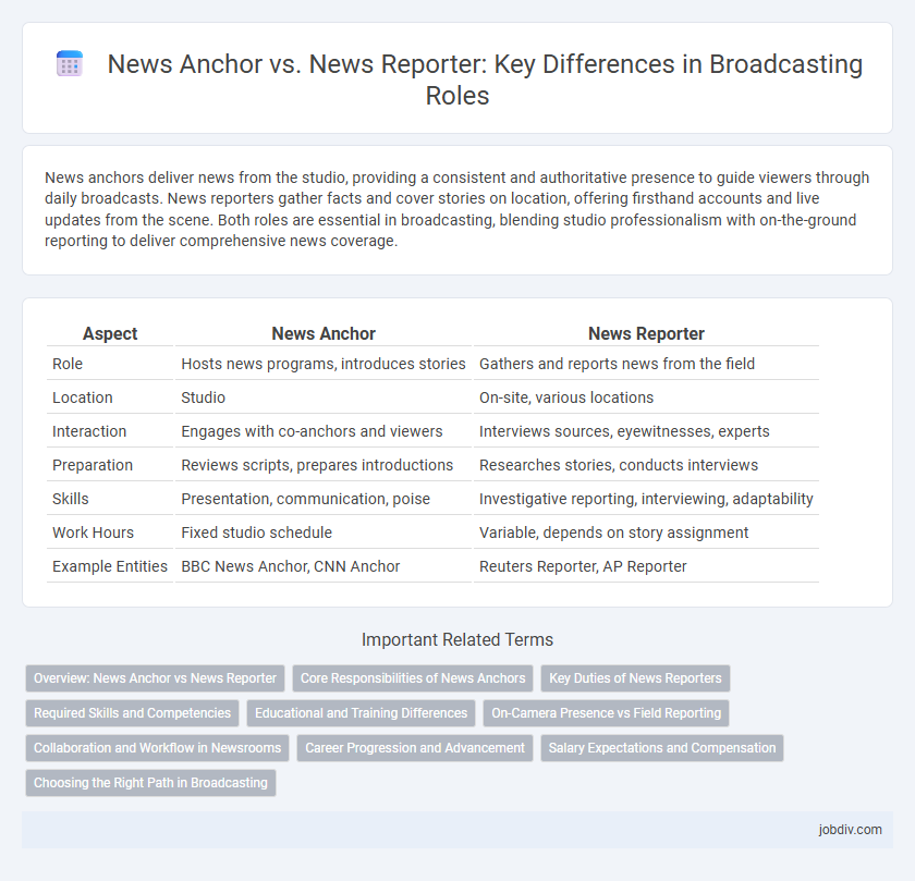 News Anchor vs. News Reporter: Key Differences in Broadcasting Roles