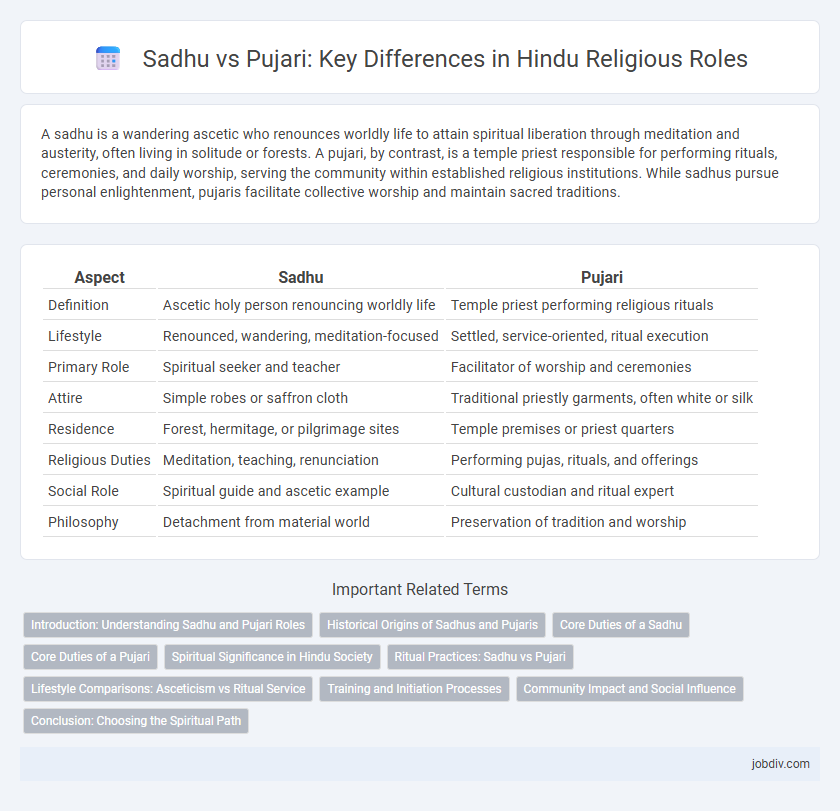 Sadhu vs Pujari: Key Differences in Hindu Religious Roles