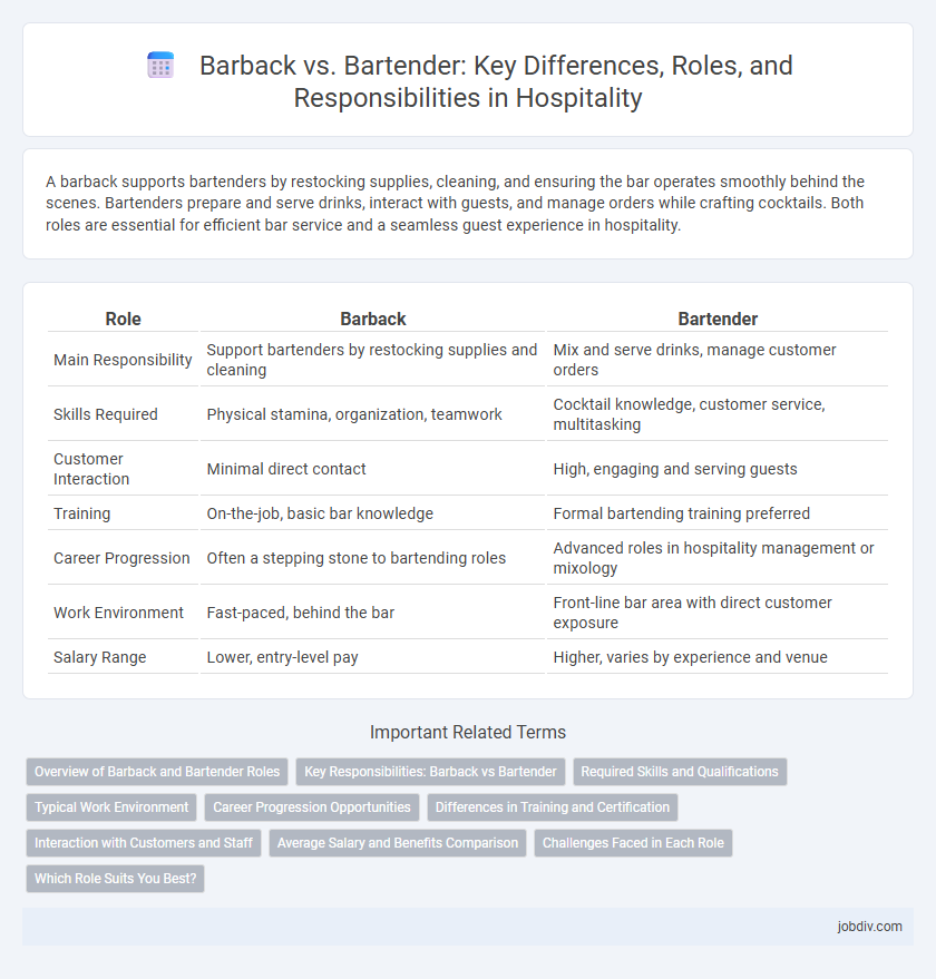 Barback vs. Bartender: Key Differences, Roles, and Responsibilities in Hospitality