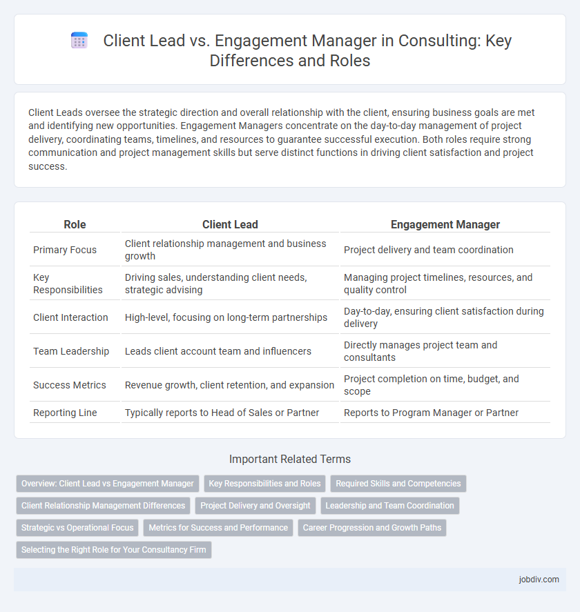 Client Lead vs. Engagement Manager in Consulting: Key Differences and Roles
