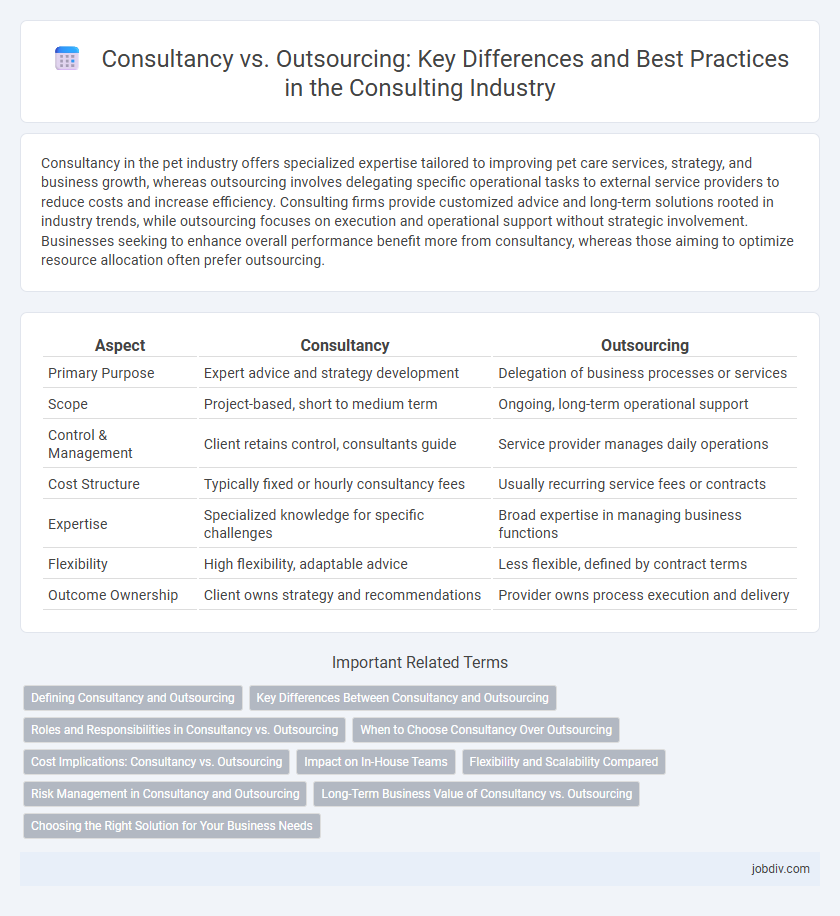 Consultancy vs. Outsourcing: Key Differences and Best Practices in the Consulting Industry