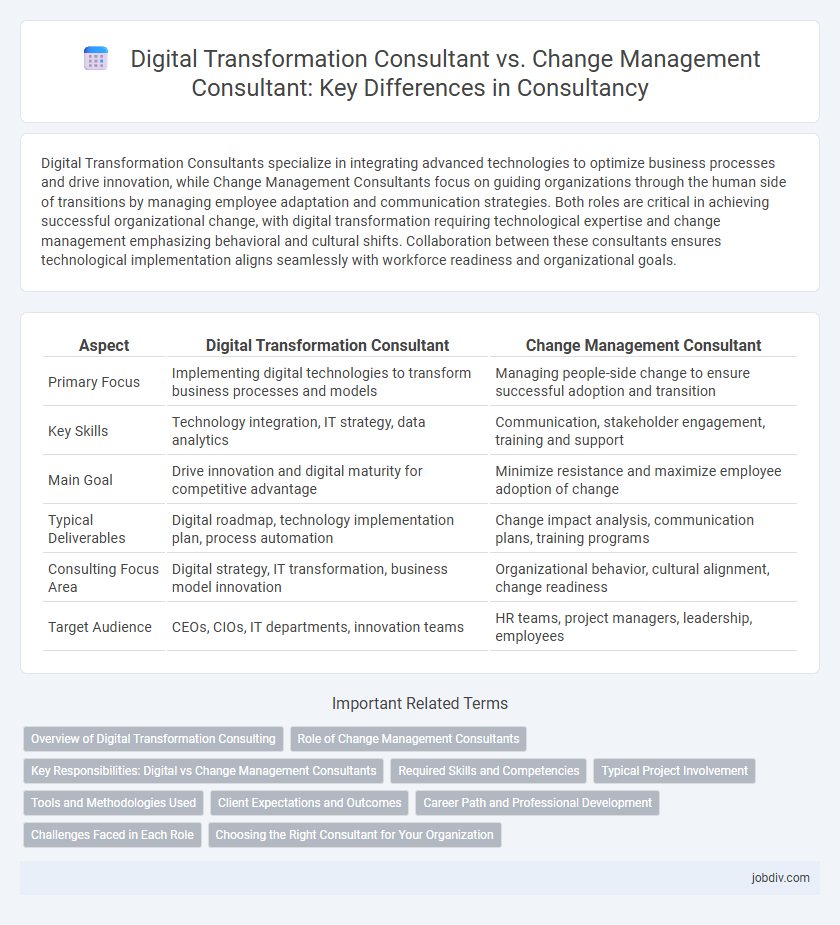 Digital Transformation Consultant vs. Change Management Consultant: Key Differences in Consultancy