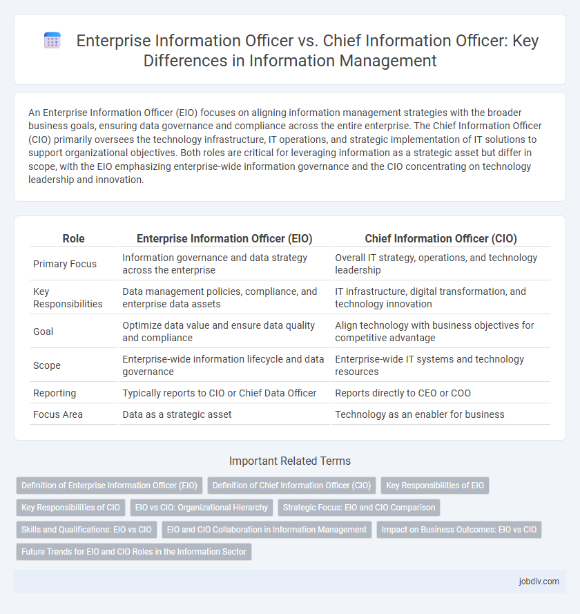 Enterprise Information Officer vs. Chief Information Officer: Key Differences in Information Management