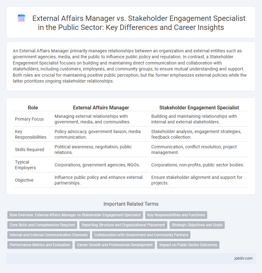 External Affairs Manager vs. Stakeholder Engagement Specialist in the Public Sector: Key Differences and Career Insights