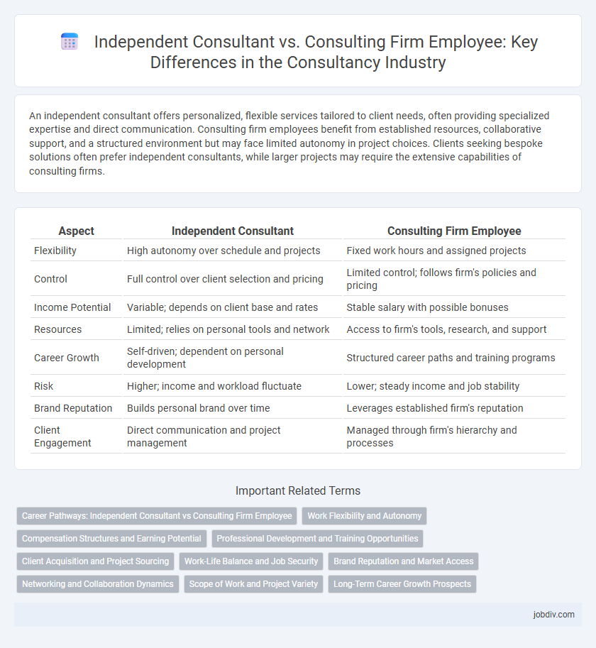 Independent Consultant vs. Consulting Firm Employee: Key Differences in the Consultancy Industry