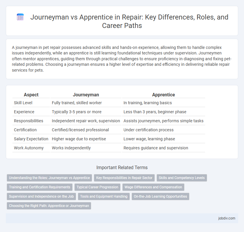 Journeyman vs Apprentice in Repair: Key Differences, Roles, and Career Paths