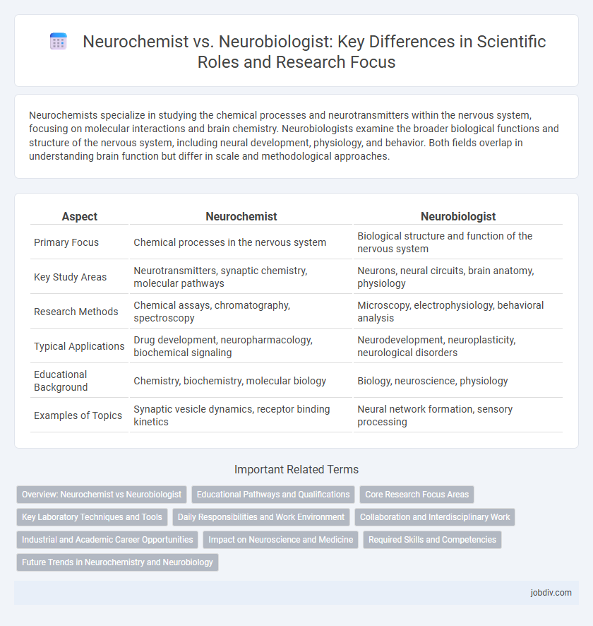 Neurochemist vs. Neurobiologist: Key Differences in Scientific Roles and Research Focus