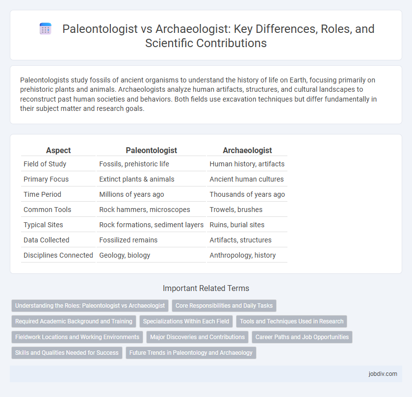 Paleontologist vs Archaeologist: Key Differences, Roles, and Scientific Contributions