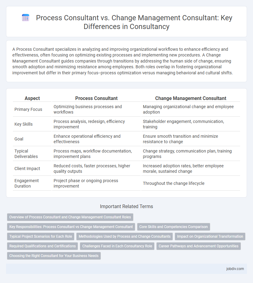 Process Consultant vs. Change Management Consultant: Key Differences in Consultancy