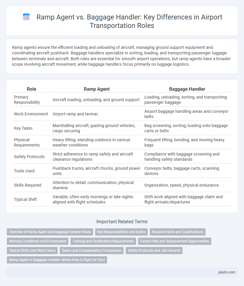 Ramp Agent vs. Baggage Handler: Key Differences in Airport Transportation Roles