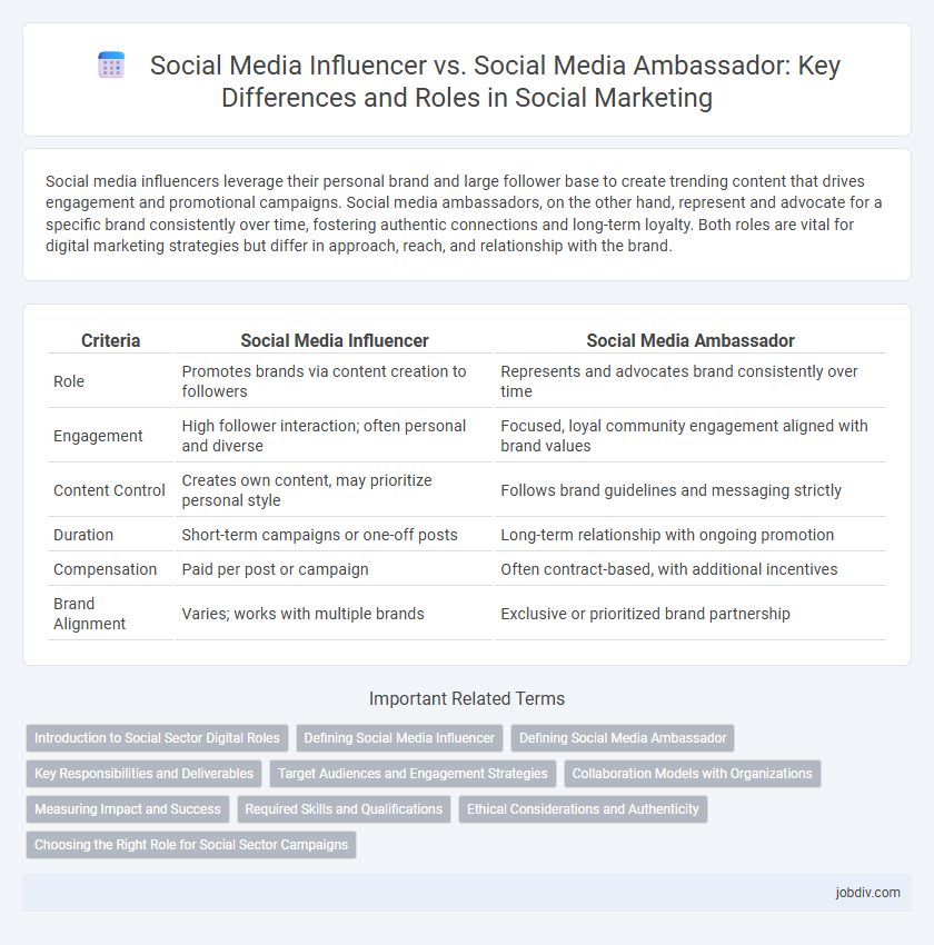 Social Media Influencer vs. Social Media Ambassador: Key Differences and Roles in Social Marketing