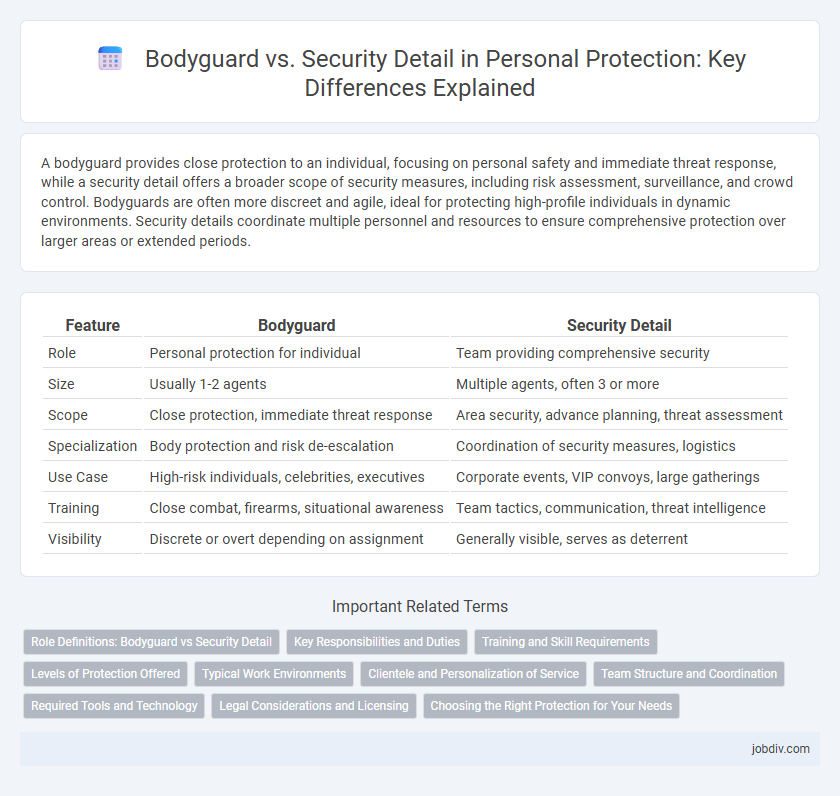 Bodyguard vs. Security Detail in Personal Protection: Key Differences Explained