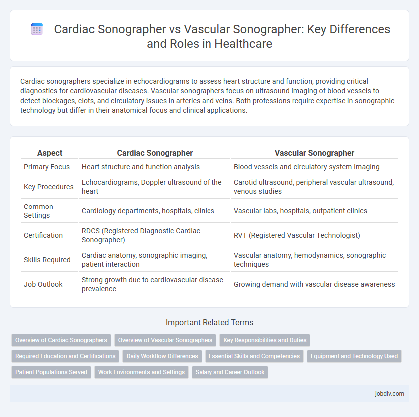 Cardiac Sonographer vs Vascular Sonographer: Key Differences and Roles in Healthcare