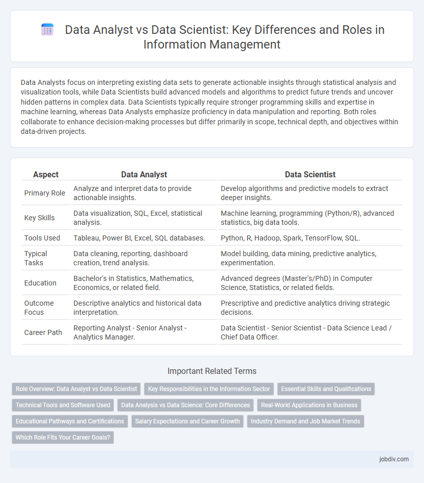 Data Analyst vs Data Scientist: Key Differences and Roles in Information Management