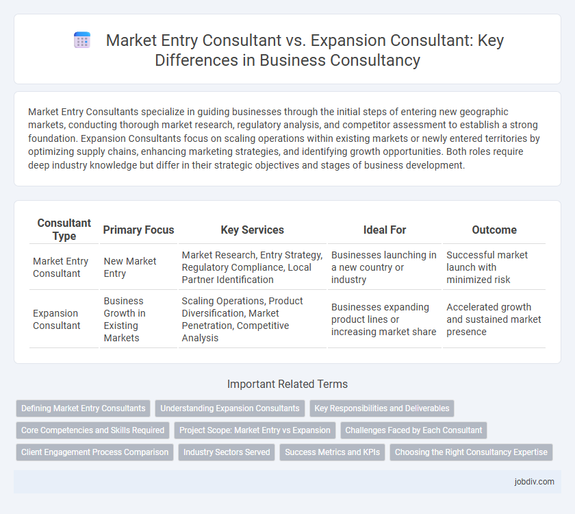 Market Entry Consultant vs. Expansion Consultant: Key Differences in Business Consultancy