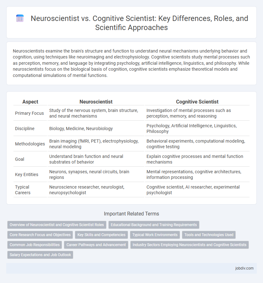 Neuroscientist vs. Cognitive Scientist: Key Differences, Roles, and Scientific Approaches