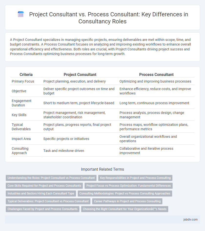 Project Consultant vs. Process Consultant: Key Differences in Consultancy Roles