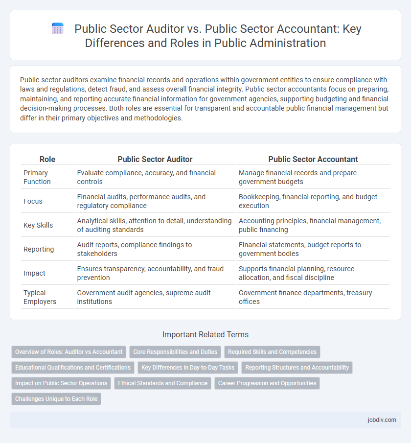 Public Sector Auditor vs. Public Sector Accountant: Key Differences and Roles in Public Administration
