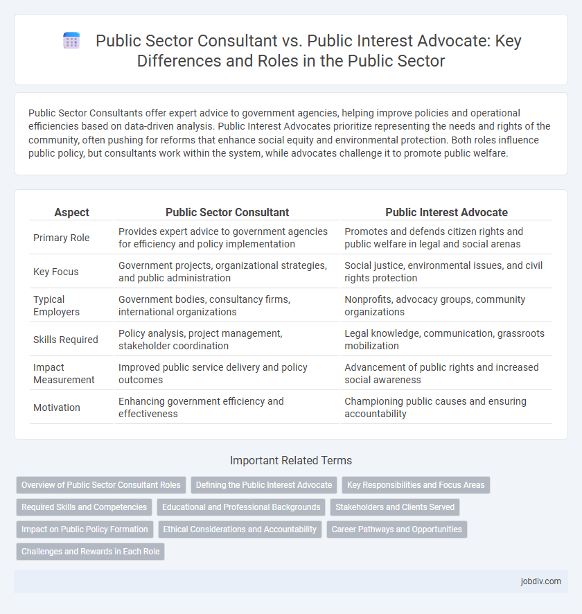 Public Sector Consultant vs. Public Interest Advocate: Key Differences and Roles in the Public Sector