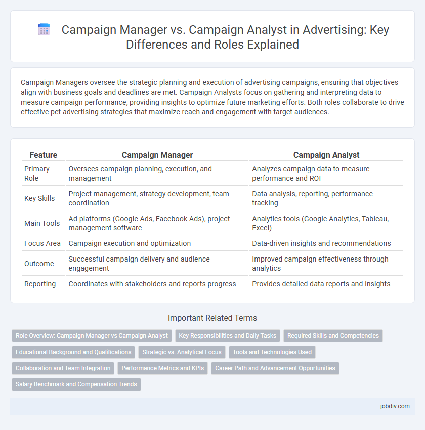 Campaign Manager vs. Campaign Analyst in Advertising: Key Differences and Roles Explained