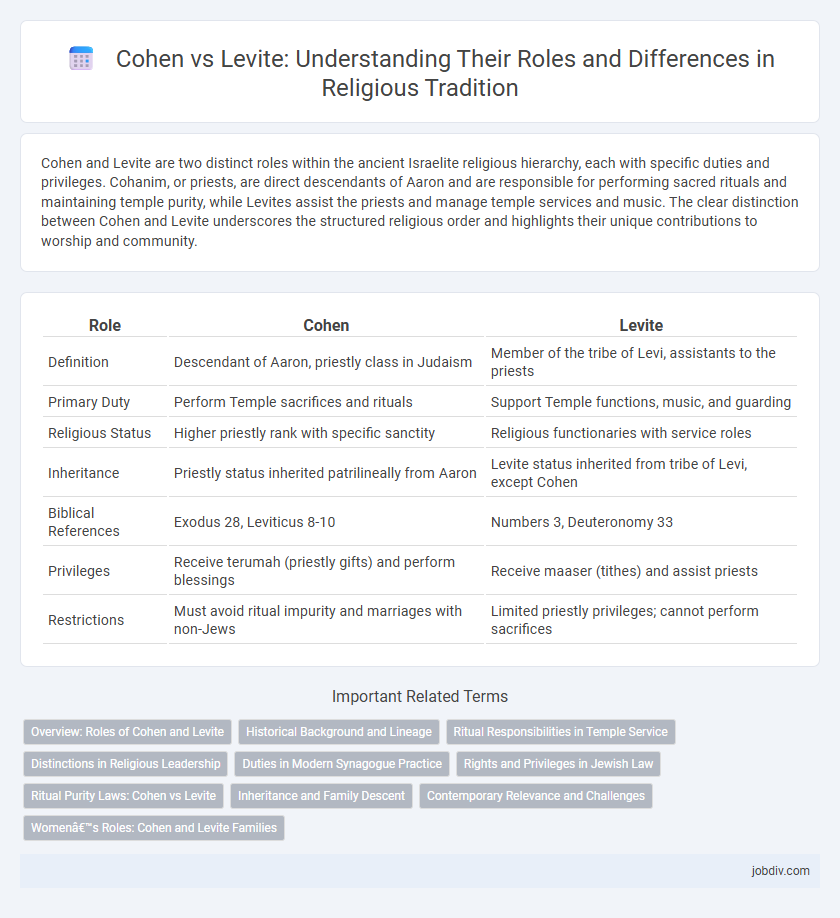Cohen vs Levite: Understanding Their Roles and Differences in Religious Tradition