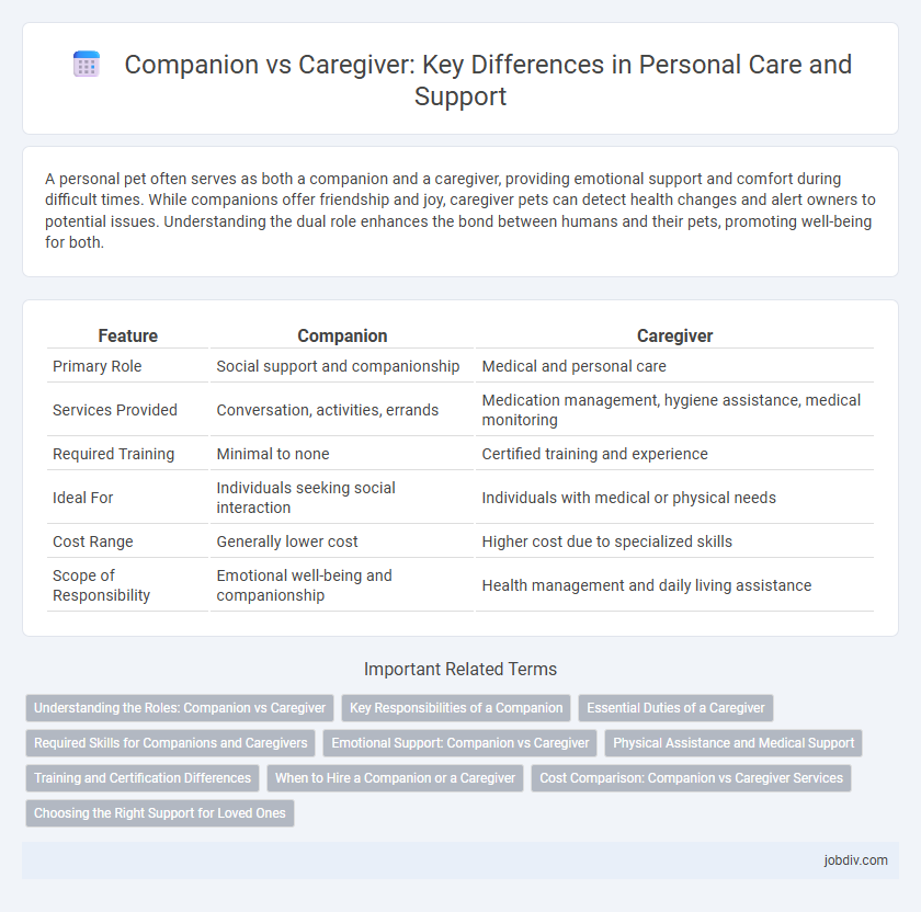 Companion vs Caregiver: Key Differences in Personal Care and Support