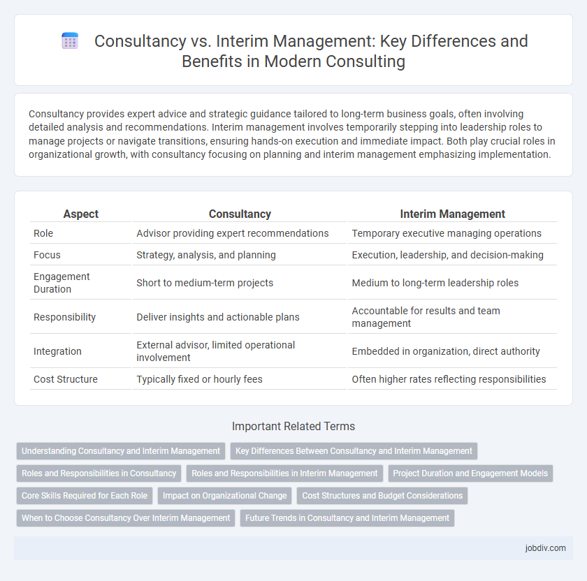 Consultancy vs. Interim Management: Key Differences and Benefits in Modern Consulting