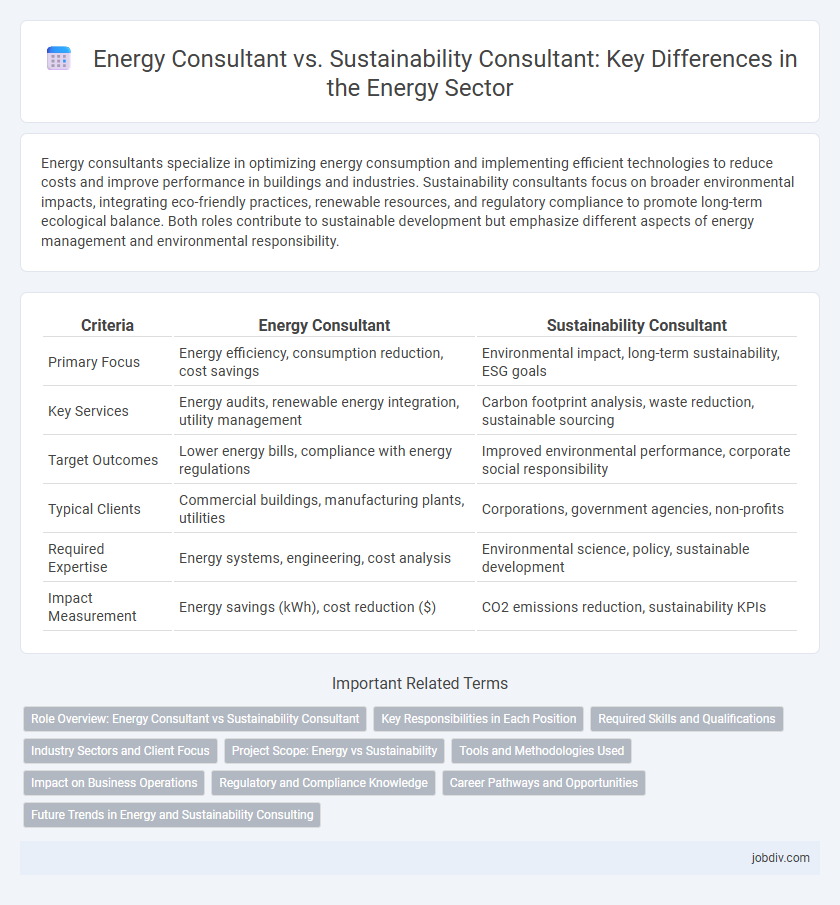 Energy Consultant vs. Sustainability Consultant: Key Differences in the Energy Sector