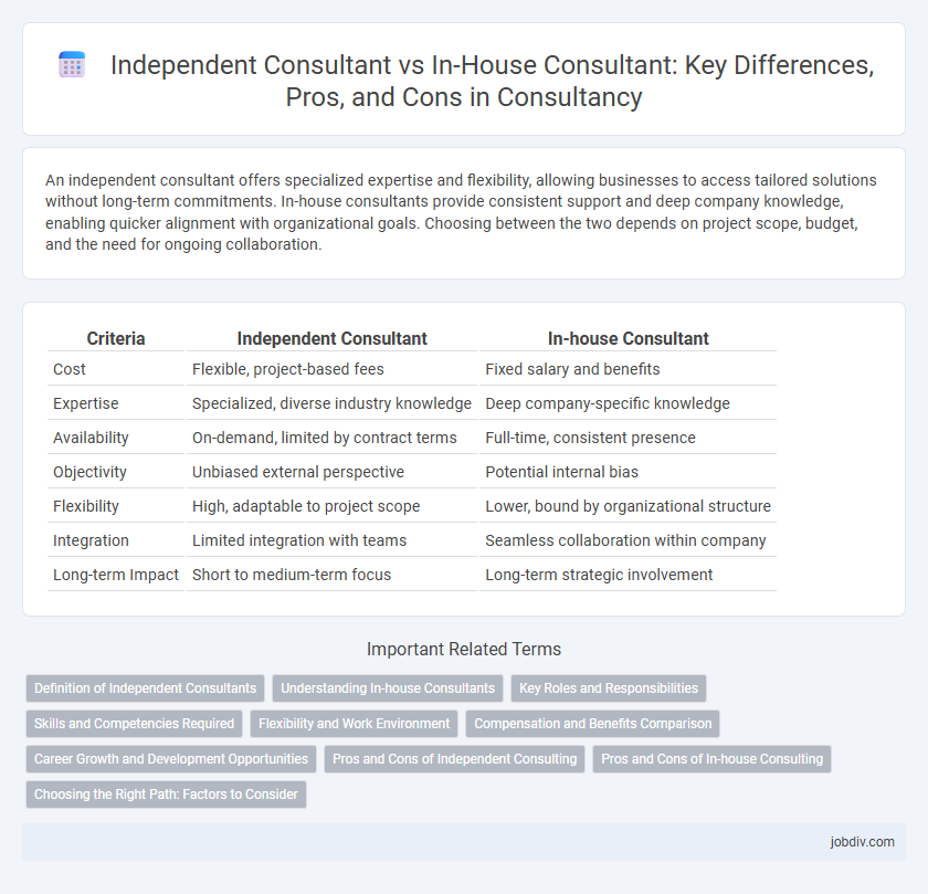 Independent Consultant vs In-House Consultant: Key Differences, Pros, and Cons in Consultancy