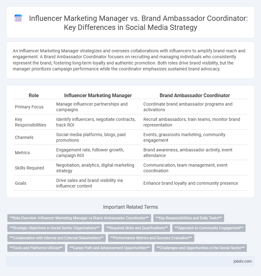 Influencer Marketing Manager vs. Brand Ambassador Coordinator: Key Differences in Social Media Strategy