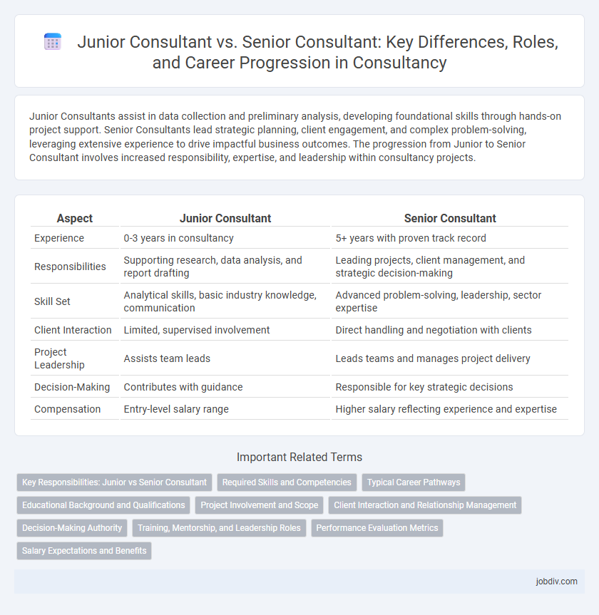 Junior Consultant vs. Senior Consultant: Key Differences, Roles, and Career Progression in Consultancy