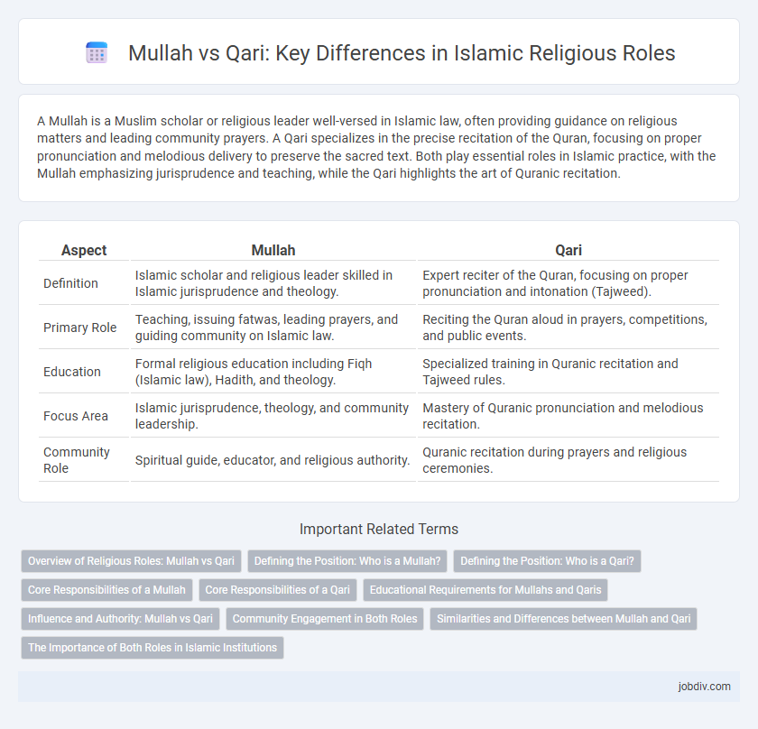 Mullah vs Qari: Key Differences in Islamic Religious Roles