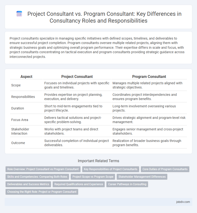 Project Consultant vs. Program Consultant: Key Differences in Consultancy Roles and Responsibilities